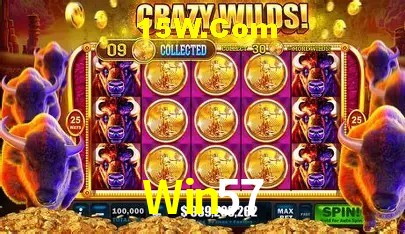 Win57 Brasília - Betting Features