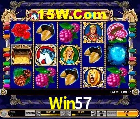 Tecnologia da Plataforma Win57